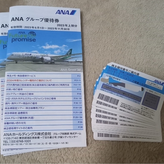ANAグループ優待券　冊子(航空券)