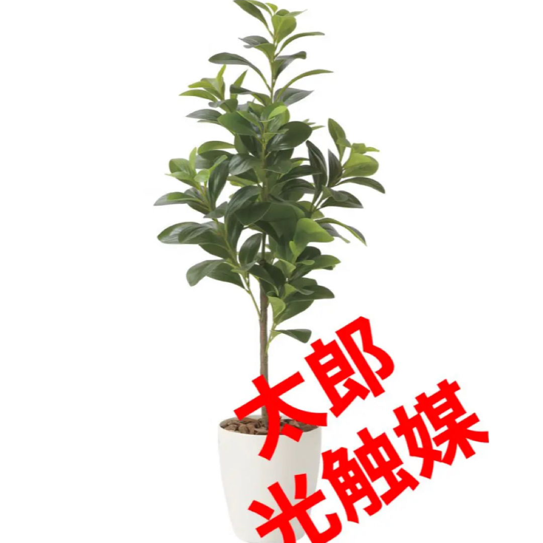 光触媒　人工観葉植物　フェイクグリーン　フレッシュマネーツリー 90