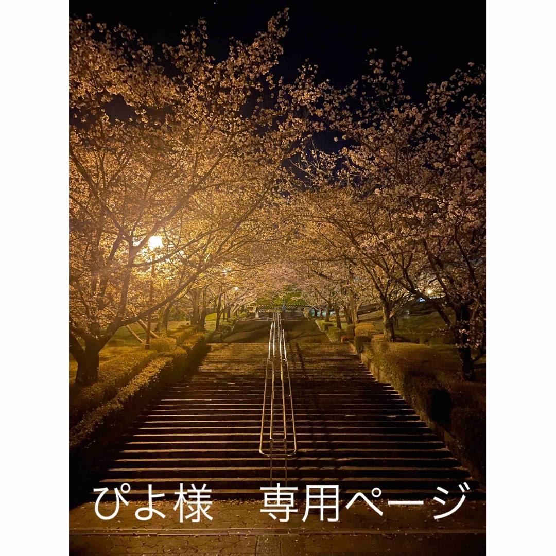 ぴよ様 専用ページの通販 by ch!s@to's shop|ラクマ
