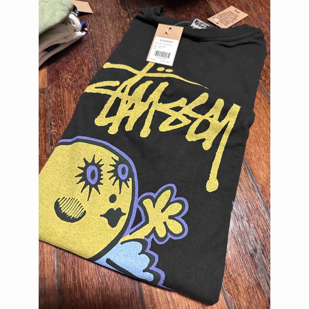 STUSSY(ステューシー)の即完売 Stussy DOLLIE PIGMENT DYED TEE 黒 L メンズのトップス(Tシャツ/カットソー(半袖/袖なし))の商品写真