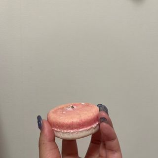 ラッシュ(LUSH)のココナイスケーキとエンジェルヘア(シャンプー)