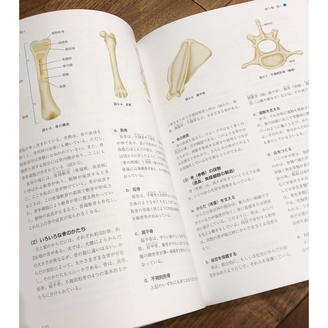 愛玩動物看護師 国家試験対策 コアテキスト 6冊セット 教科書