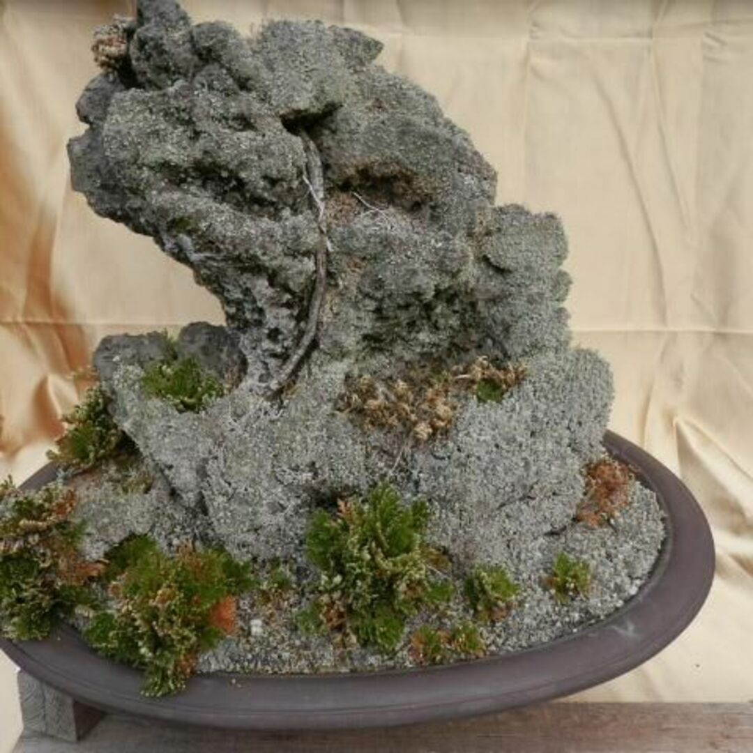 枯れ盆栽 盆石 19kg 高さ43cm 怪獣顔 -