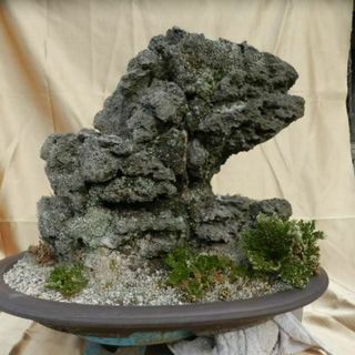 枯れ盆栽 盆石 19kg 高さ43cm 怪獣顔 -