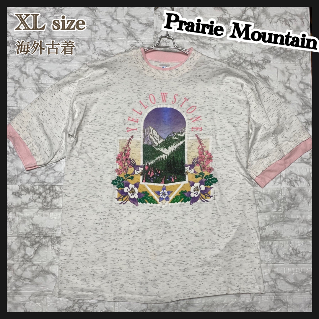 ⑫ XL ホワイト 白 古着 Tシャツ 半袖  PRAIRIE MOUNTAIN メンズのトップス(Tシャツ/カットソー(半袖/袖なし))の商品写真