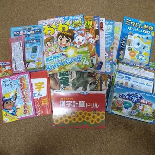 ベネッセ(Benesse)の進研ゼミ小学3年生(語学/参考書)