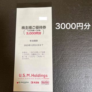 ユナイテッドスーパーマーケット　株主優待券　3000円分(ショッピング)