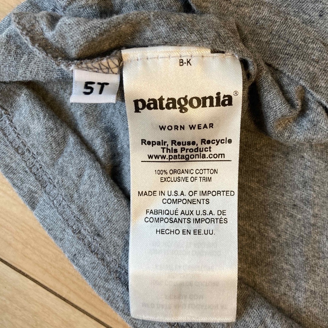 patagonia(パタゴニア)のパタゴニア　キッズ　Tシャツ　5T キッズ/ベビー/マタニティのキッズ服男の子用(90cm~)(Tシャツ/カットソー)の商品写真