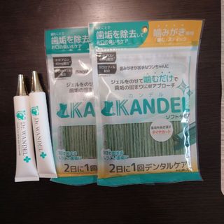 ドクターワンデルカンデル(犬)