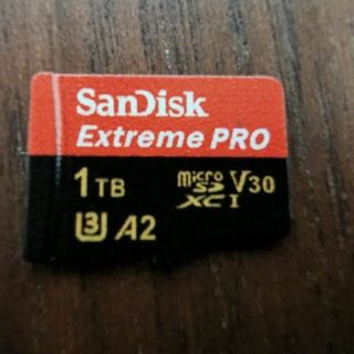 サンディスク(SanDisk)のSanDisk Extreme pro 1tb microSDカード ジャンク(その他)