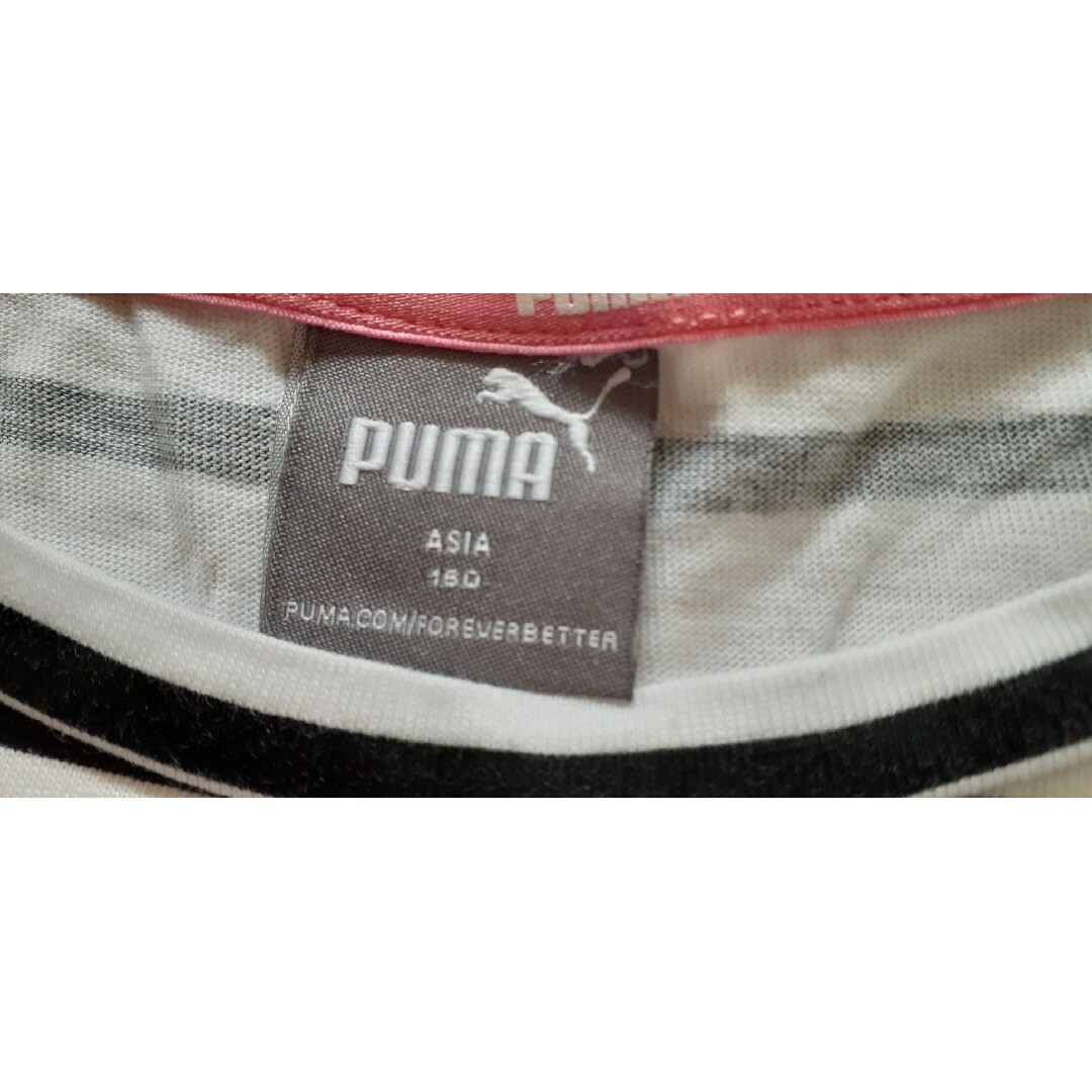 PUMA(プーマ)のPUMAプーマ　ボーダーTシャツカットソー160cm キッズ/ベビー/マタニティのキッズ服女の子用(90cm~)(Tシャツ/カットソー)の商品写真