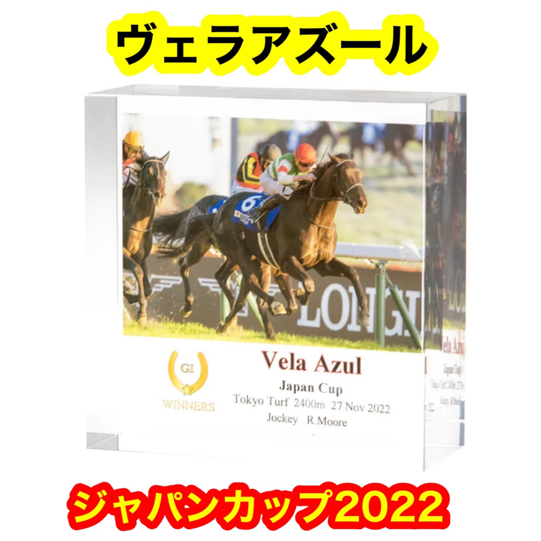 ジェンティルドンナ　２０１２ジャパンカップ　アクリルオブジェ　競馬