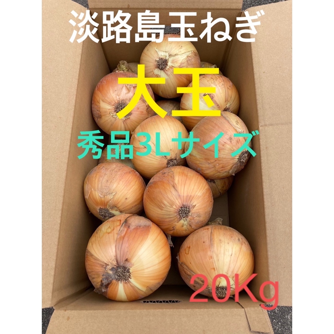 ♦️秀品3Lサイズ20Kg♦️淡路島玉ねぎ　たまねぎ　玉葱