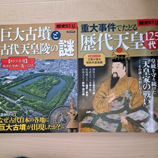 ヨウセンシャ(洋泉社)の歴史ＲＥＡＬ重大事件でたどる歴代天皇１２５代 皇統を守り続けた「天皇家の戦い」(人文/社会)