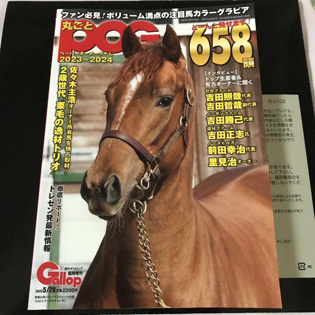 丸ごとPOG 2023〜2024 エンタメ/ホビーの雑誌(趣味/スポーツ)の商品写真