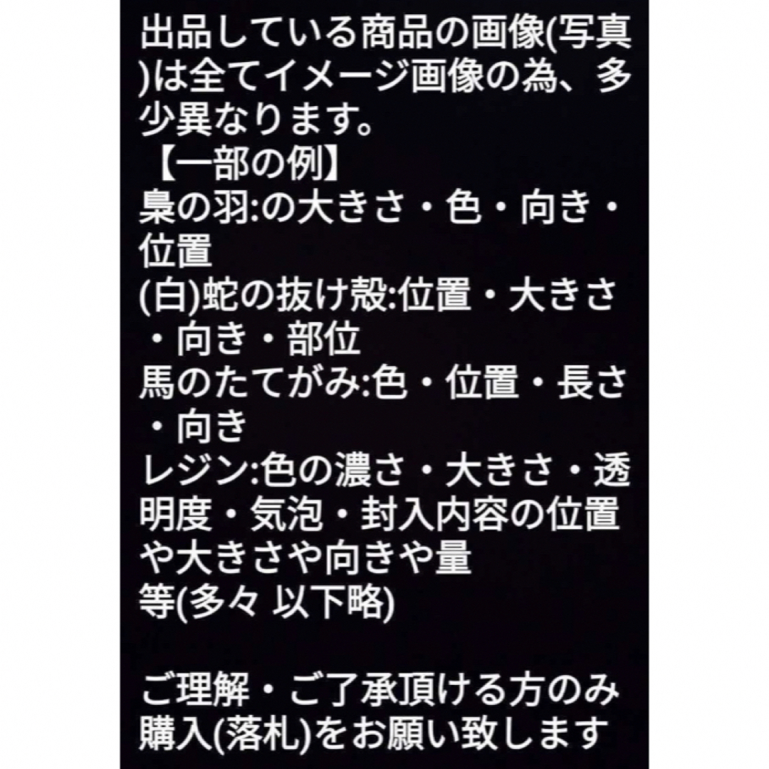 1枚✨龍体文字✨フトマニ図✨蛇の抜け殻✨白蛇のお守り金黒AH