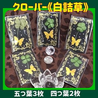 クローバー♣️白詰め草　個別包装　四つ葉２セット＆五つ葉３セット《A》(ドライフラワー)