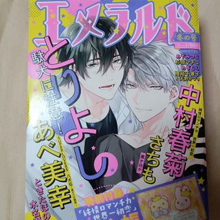 カドカワショテン(角川書店)のエメラルド 冬の号 2023年 02月号(アート/エンタメ/ホビー)