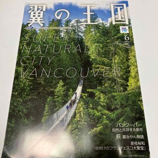 エーエヌエー(ゼンニッポンクウユ)(ANA(全日本空輸))の翼の王国　ANA機内誌　6月号(その他)