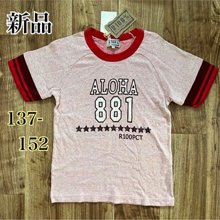 ライカ(RAIKA)の【新品】ライカ　Tシャツ　半袖　綿100%(Tシャツ/カットソー)