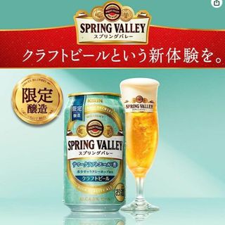 キリン(キリン)のろーろ様専用》夏限定キリンスプリングバレーサマーエール/350ml×24缶/2箱(ビール)