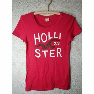 ホリスター(Hollister)のo6539　HOLLISTER　ホリスター　レディース　半袖　tシャツ　人気(Tシャツ(半袖/袖なし))