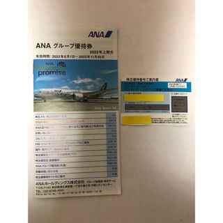 エーエヌエー(ゼンニッポンクウユ)(ANA(全日本空輸))の全日空ANA 株主優待券1枚(その他)