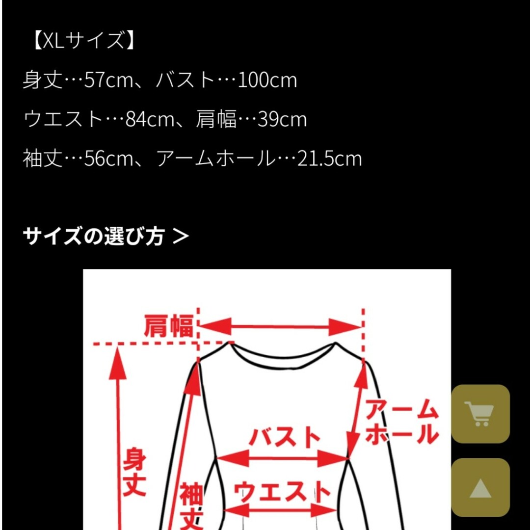 JENNE新品ジェンヌパリジェンヌペプラムブラウスギンガムチェックXL レディースのトップス(シャツ/ブラウス(長袖/七分))の商品写真