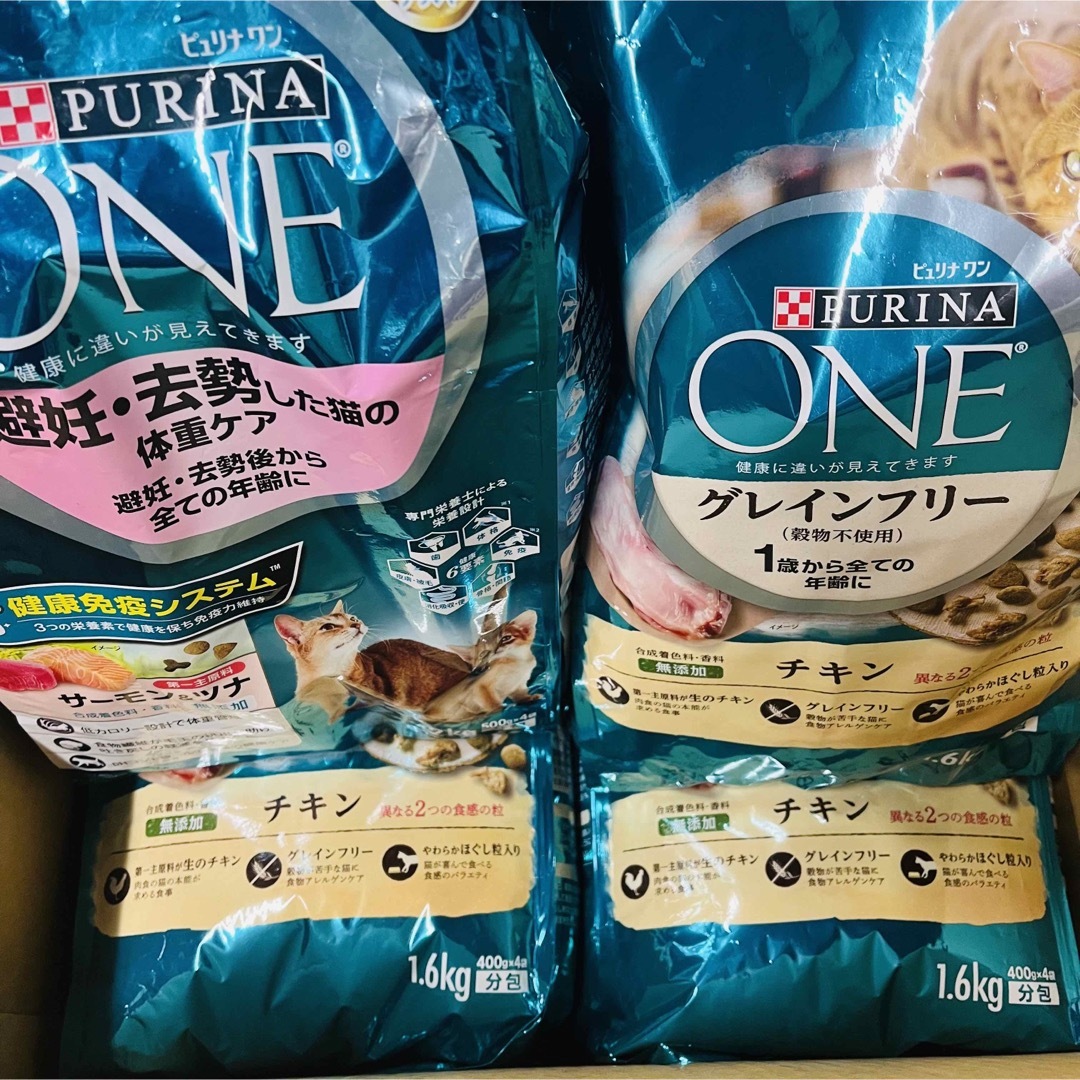 Nestle(ネスレ)のはな様専用 その他のペット用品(猫)の商品写真