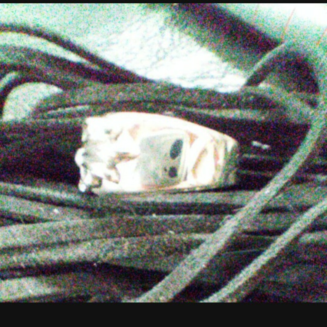 ジミー様　常連様価格　約19.5号　フローラルクロスリング　silver925 メンズのアクセサリー(リング(指輪))の商品写真