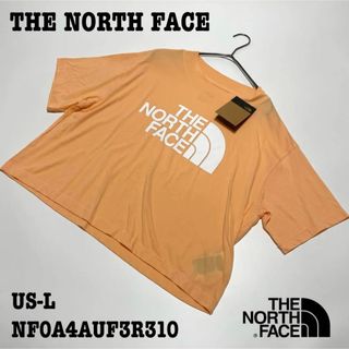 ザノースフェイス(THE NORTH FACE)の【新品】US-L ノースフェイス Tシャツ 半袖 クロップド丈 ベージュ 海外(Tシャツ(半袖/袖なし))