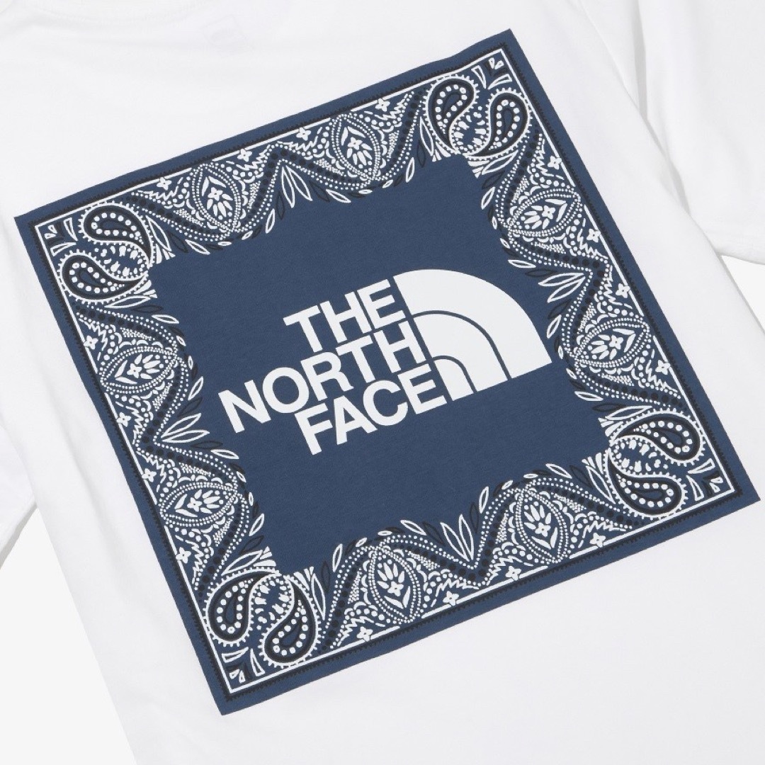 THE NORTH FACE ノースフェイス  NSEバンダナ Tシャツ L