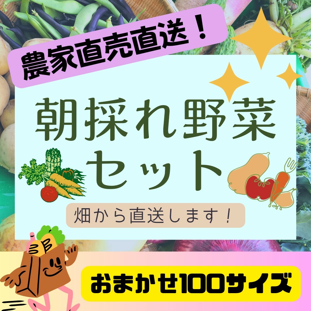 農家直送！野菜詰め合わせ 食品/飲料/酒の食品(野菜)の商品写真