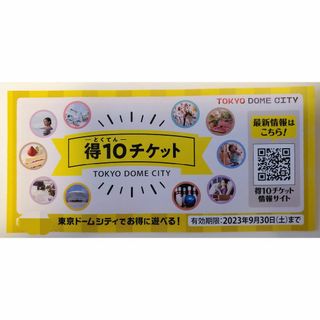 遊園地/テーマパーク東京ドームシティ得10チケット 5冊  未使用