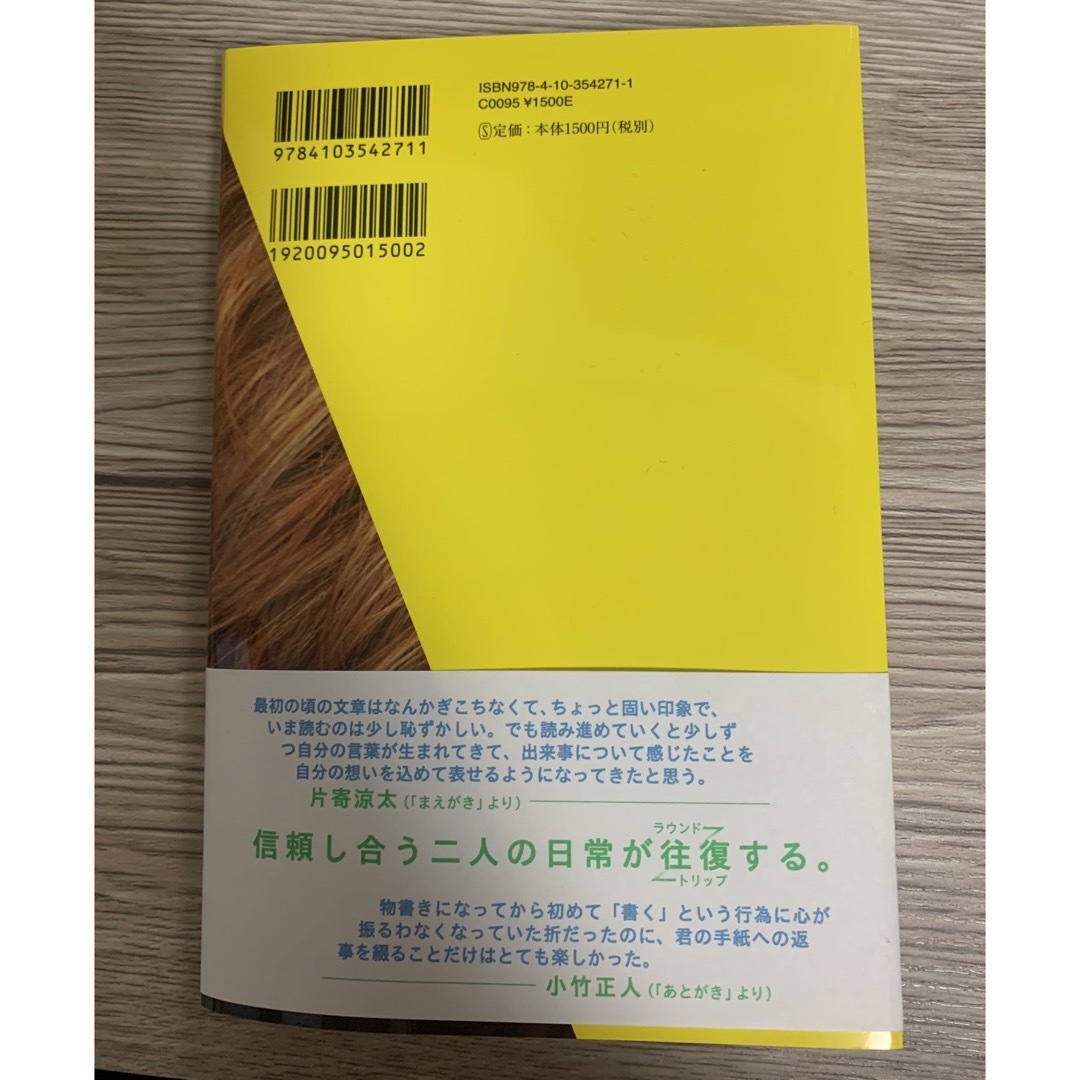 ラウンドトリップ 往復書簡 エンタメ/ホビーの本(文学/小説)の商品写真