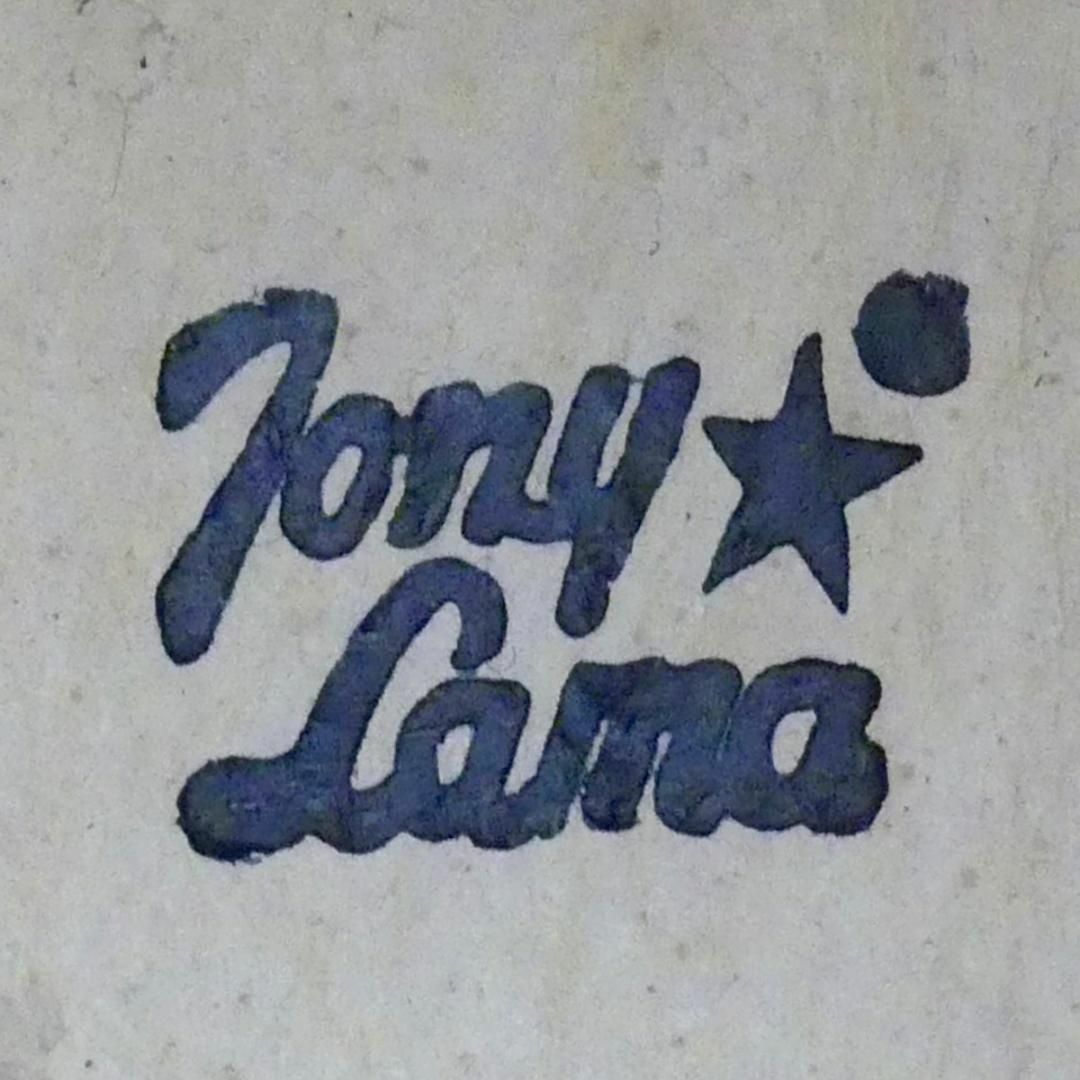 Tony Lama(トニーラマ)のメキシコ製 ウエスタンブーツ Tony Lama 26トニーラマ HH8814 メンズの靴/シューズ(ブーツ)の商品写真