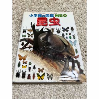 ショウガクカン(小学館)の【即購入可】小学館の図鑑 NEO 昆虫(絵本/児童書)