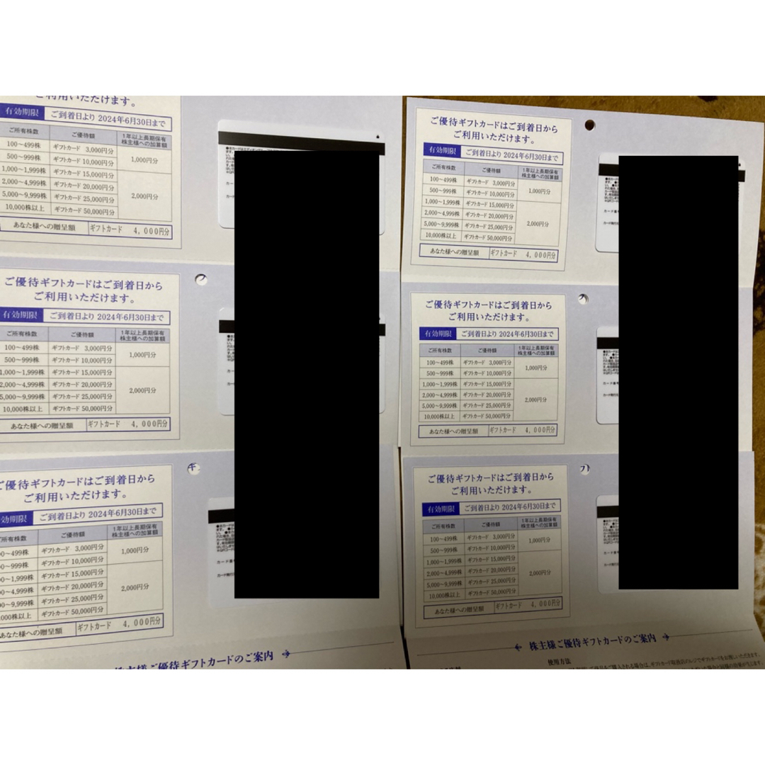 11000円分 平和 株主優待券 PGM HEIWA おまけ2枚 11000円分 平和 株主優待券 PGM HEIWA おまけ2枚