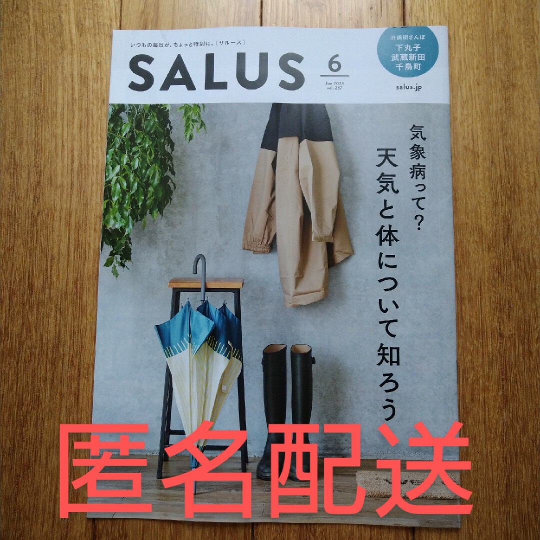 salus(サルース)の【新品】SALUS 東急沿線情報誌 2023年6月号 エンタメ/ホビーの雑誌(アート/エンタメ/ホビー)の商品写真