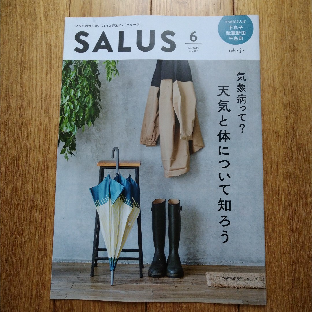 salus(サルース)の【新品】SALUS 東急沿線情報誌 2023年6月号 エンタメ/ホビーの雑誌(アート/エンタメ/ホビー)の商品写真