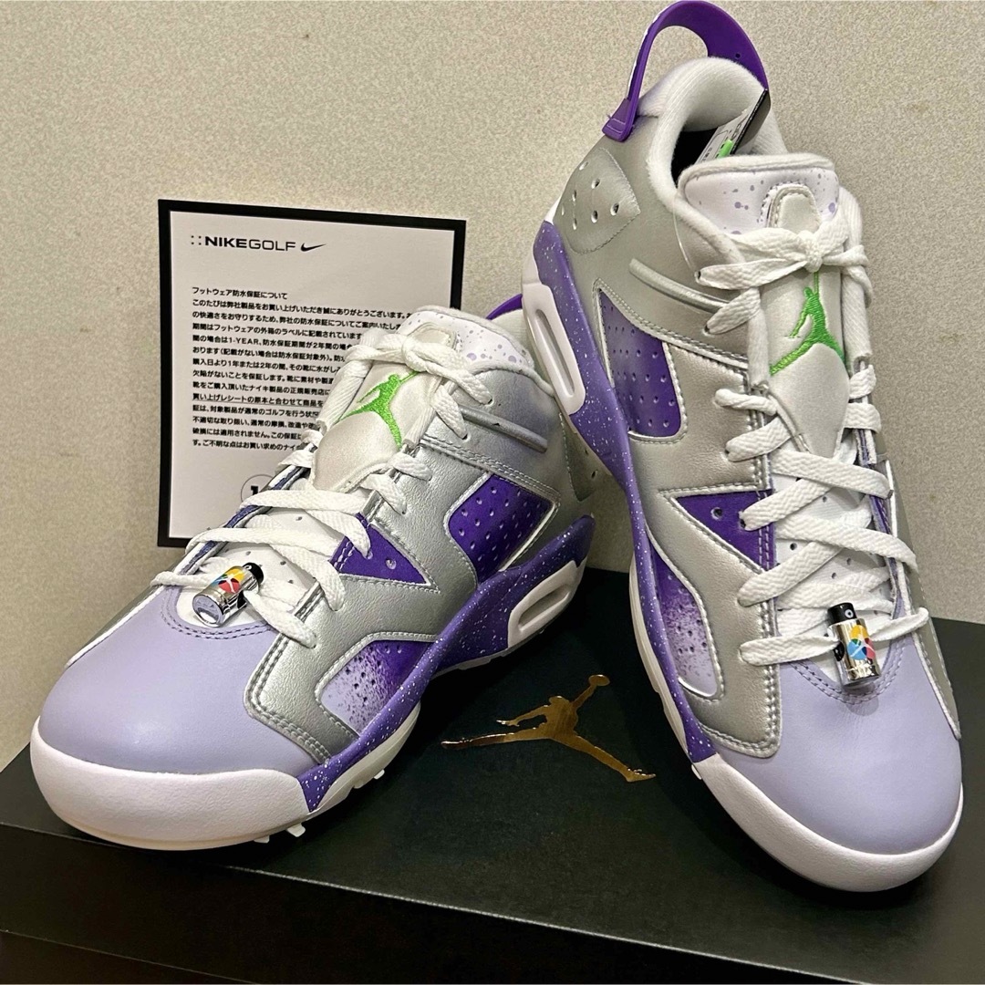 JORDAN BRAND JORDAN RETRO 6  ジョーダン　ゴルフ