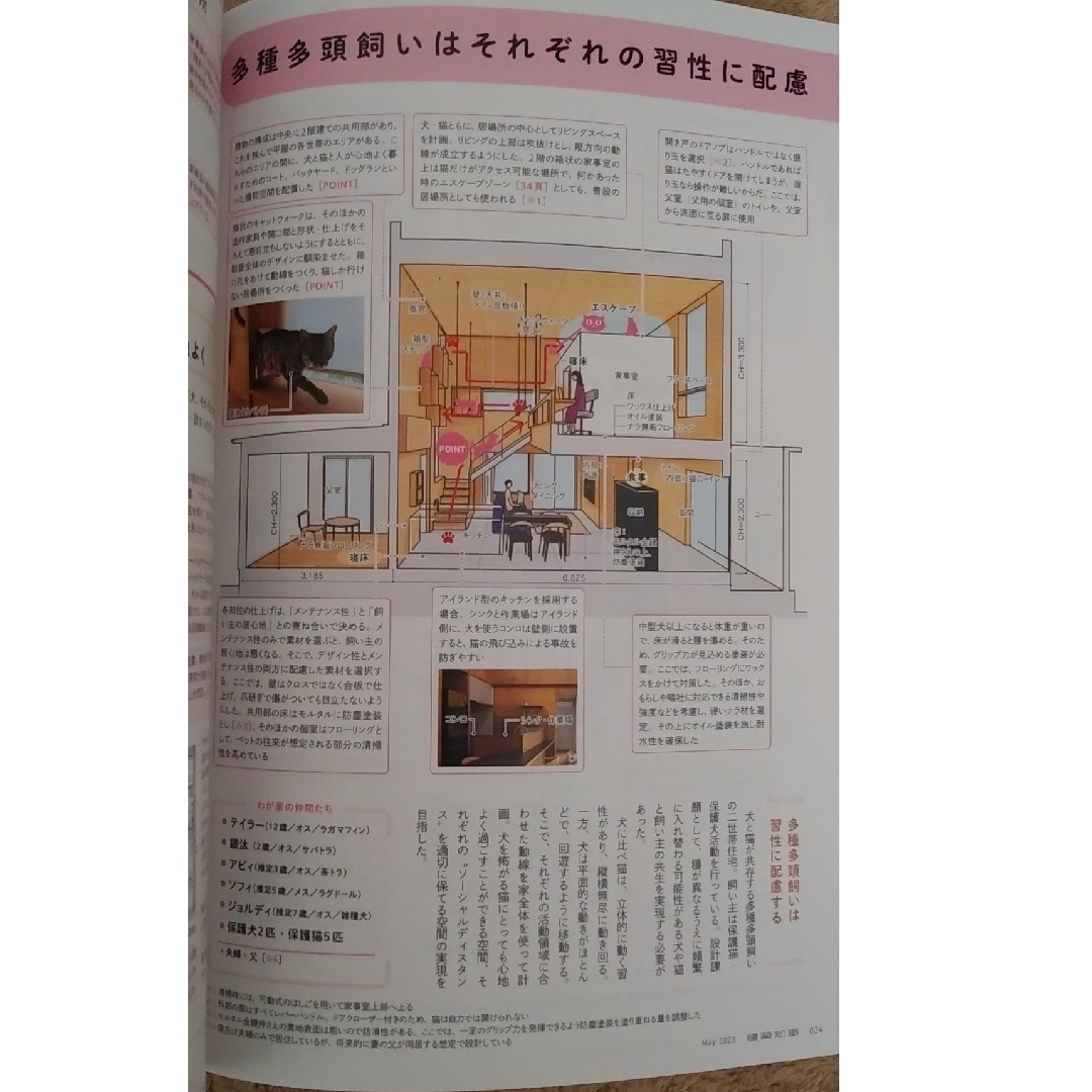 建築知識 2023年 5月号「猫のための間取り」 エンタメ/ホビーの雑誌(専門誌)の商品写真