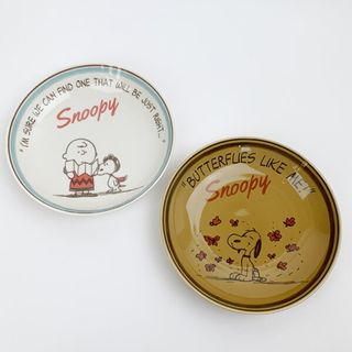 新品希望と光美濃焼☆SNOOPYスヌーピーオードブル深皿小皿フォーク11点セット