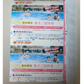 東京サマーランド 1dayパス 2枚 春秋限定(その他)