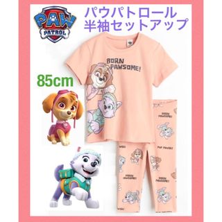 エイチアンドエム(H&M)の未使用h&mパウパトロール半袖Tシャツレギンスセット85cm女の子パジャマにも(Ｔシャツ)