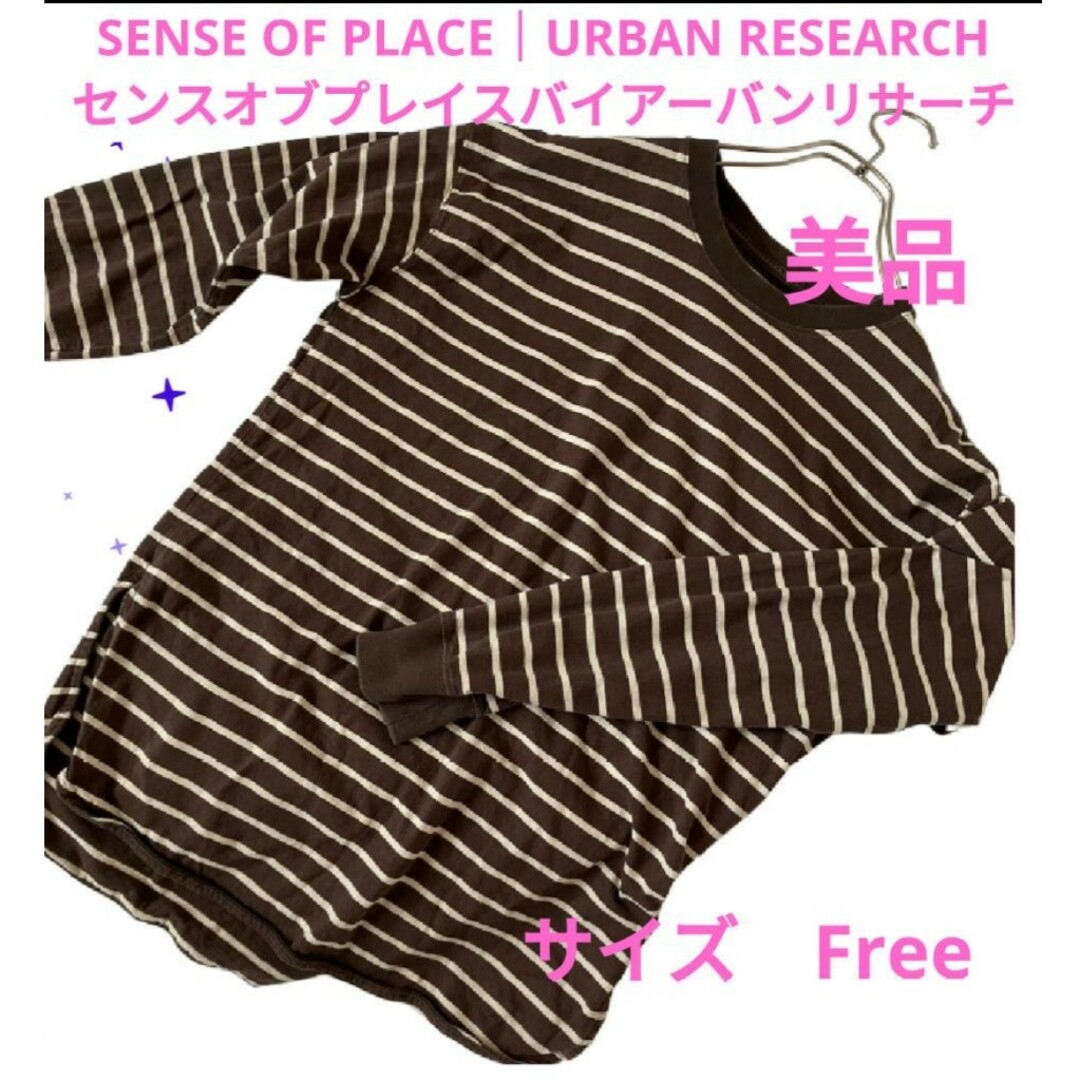 SENSE OF PLACE by URBAN RESEARCH - 美品 ブラウン ボーダー 長袖