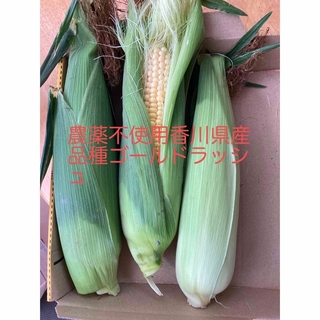 農薬不使用とうもろこし香川県産3本(野菜)