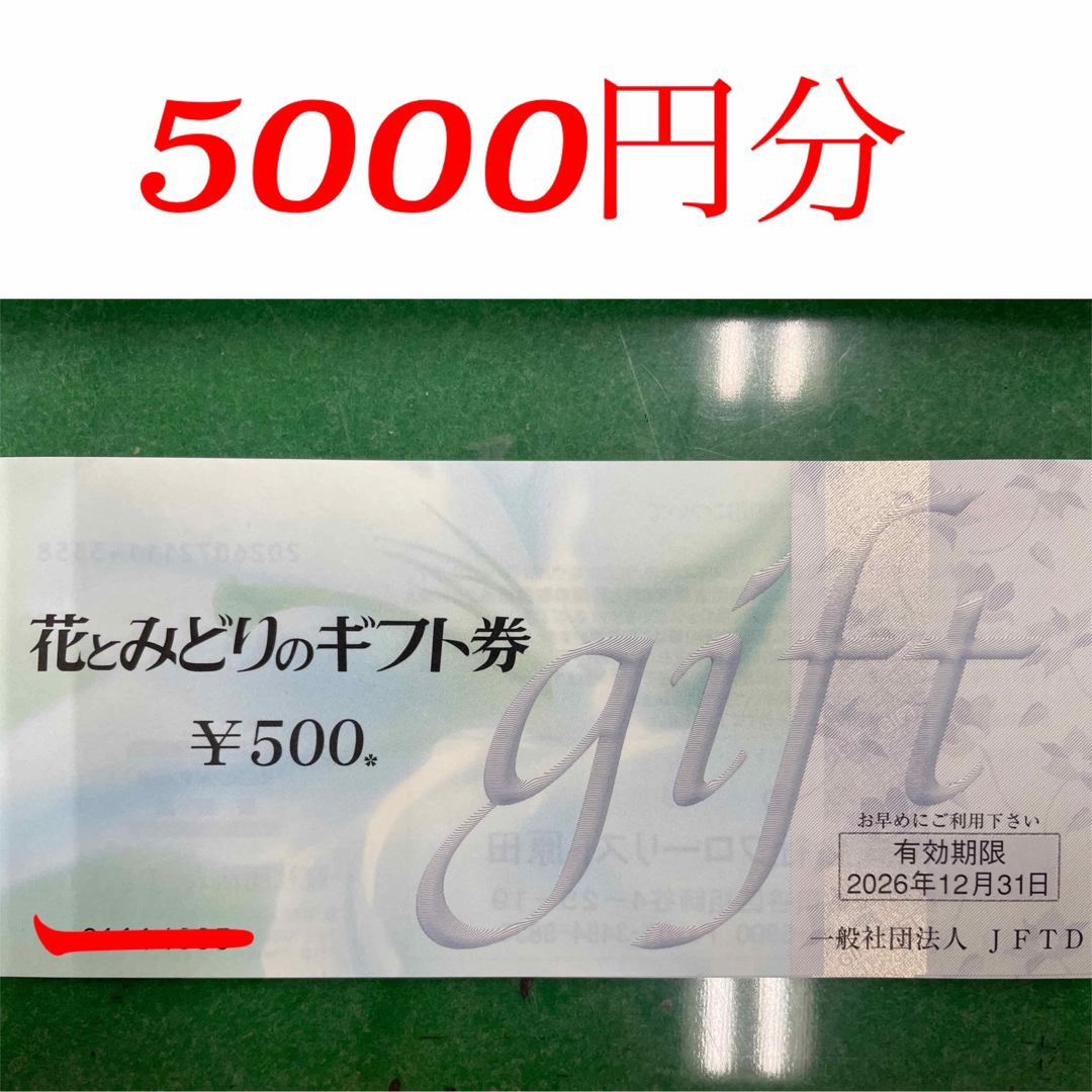 花とみどりのギフト券　5000円分