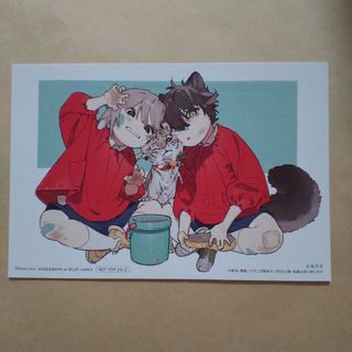 狼への嫁入り　犬居葉菜　イー・エー・グラン西武池袋店限定イラストカード(ボーイズラブ(BL))