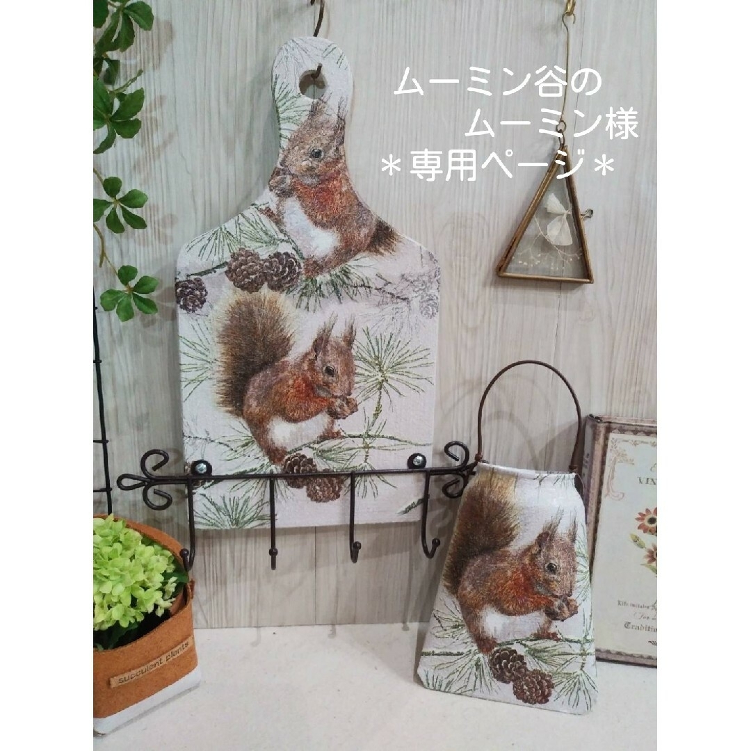ムーミン様専用-